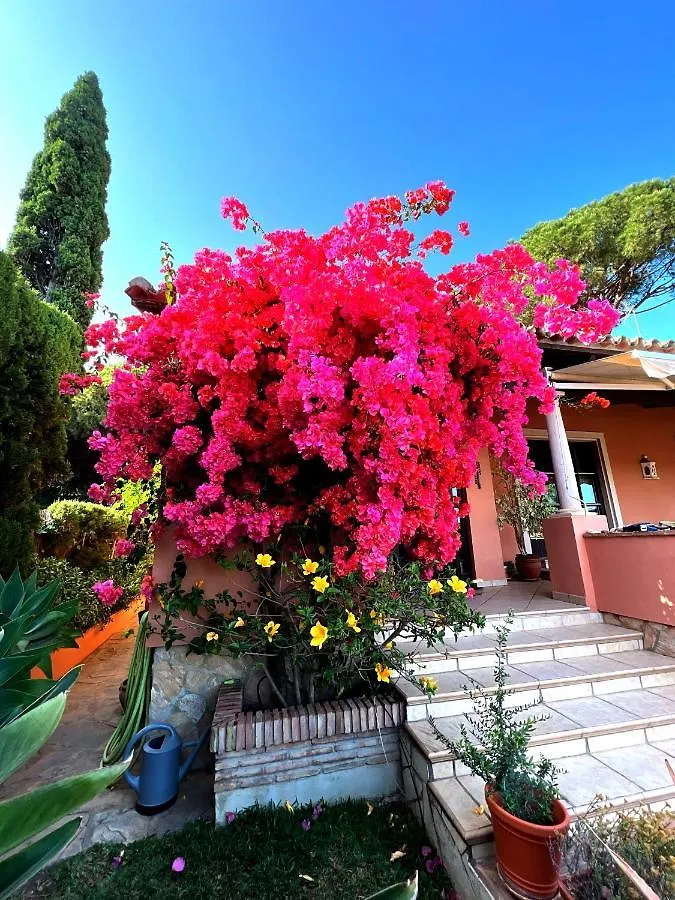 Exclusive Andalusian Villa El Pino In Cabopino Marbella Spain