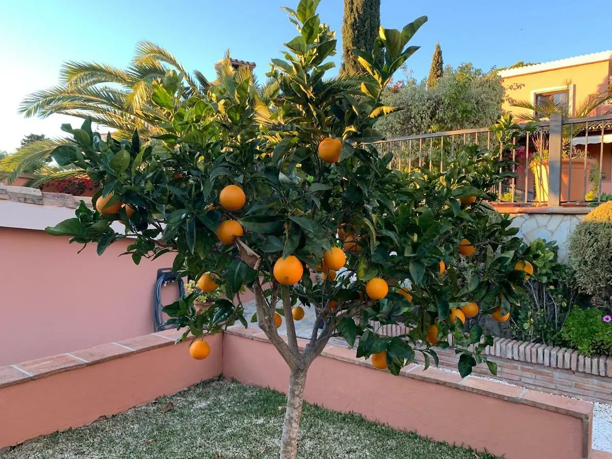 Exclusive Andalusian Villa El Pino In Cabopino Marbella 0*,  Spain